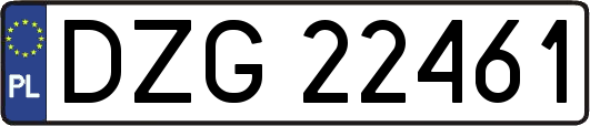 DZG22461