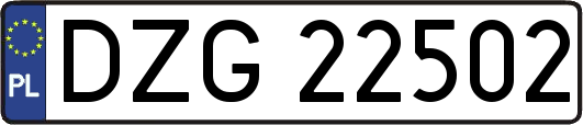 DZG22502
