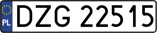 DZG22515
