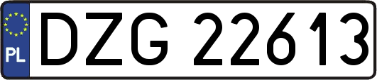 DZG22613