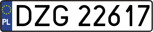DZG22617
