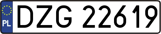 DZG22619