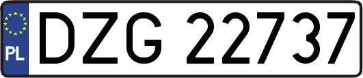 DZG22737