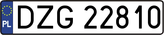 DZG22810