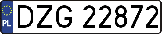 DZG22872