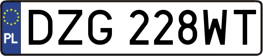 DZG228WT