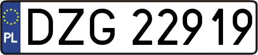 DZG22919