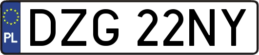 DZG22NY