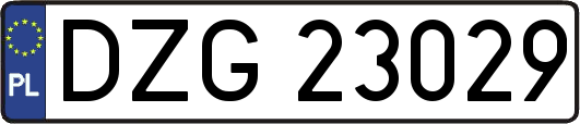 DZG23029