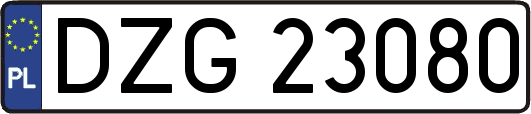 DZG23080
