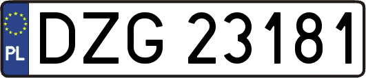 DZG23181