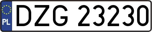 DZG23230