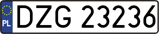 DZG23236