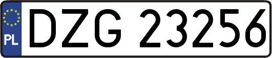 DZG23256