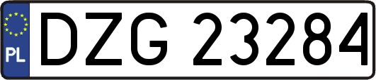 DZG23284