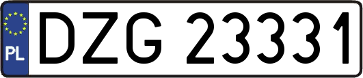 DZG23331