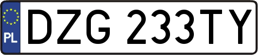 DZG233TY