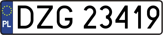 DZG23419