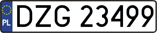 DZG23499