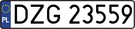 DZG23559