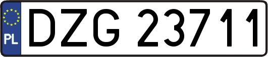 DZG23711