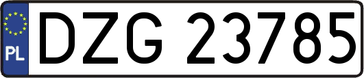 DZG23785