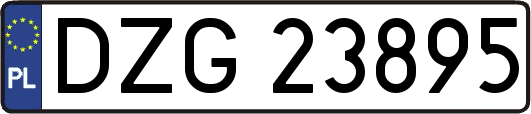 DZG23895