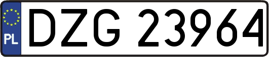 DZG23964