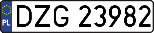 DZG23982