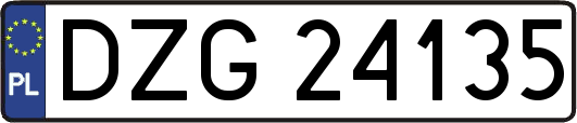 DZG24135