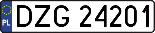 DZG24201