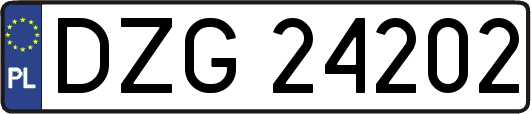 DZG24202
