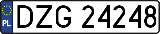DZG24248