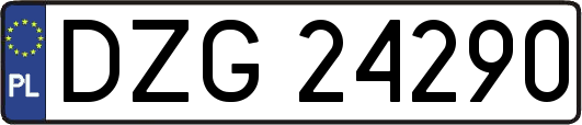 DZG24290