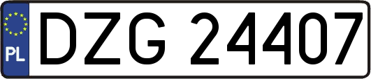 DZG24407