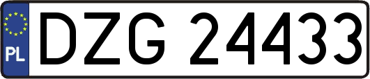 DZG24433