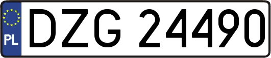 DZG24490