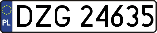 DZG24635