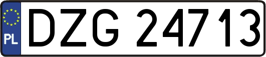 DZG24713