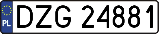 DZG24881