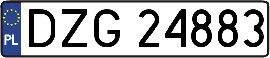 DZG24883