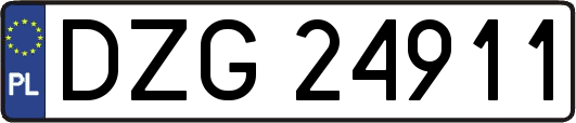 DZG24911