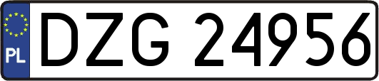 DZG24956