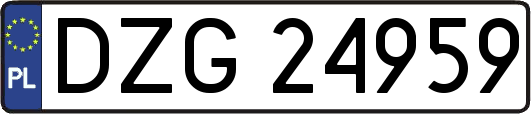 DZG24959