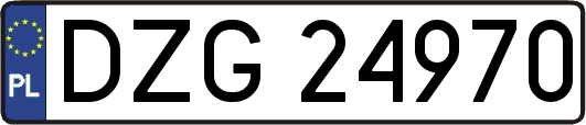 DZG24970