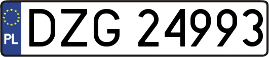 DZG24993