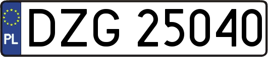 DZG25040