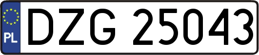 DZG25043