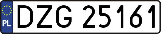DZG25161