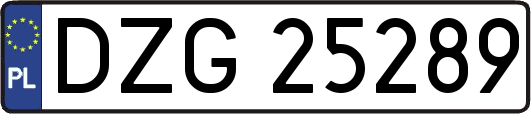 DZG25289